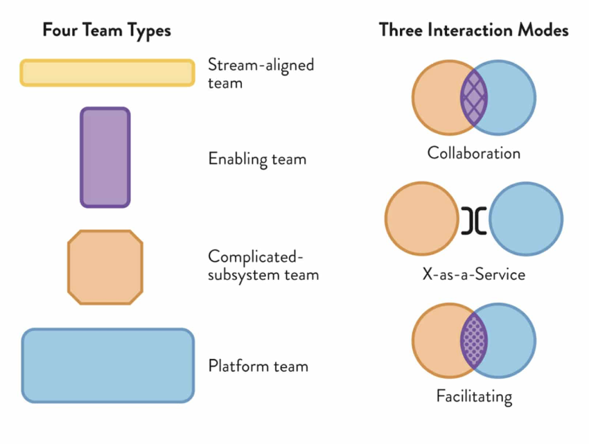team types